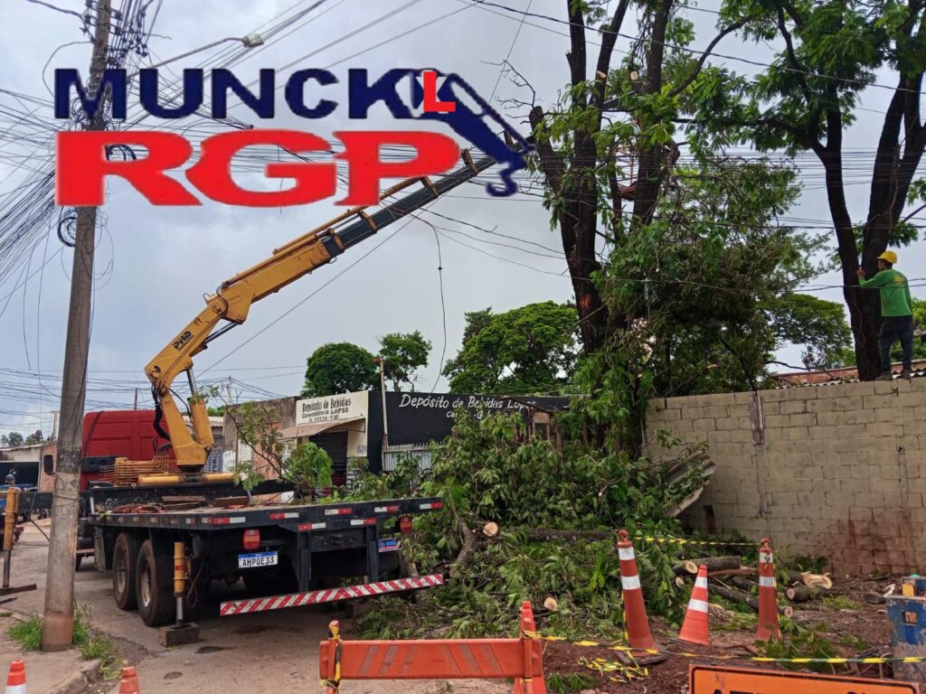Munck Locação Ribeirão Preto para içamento, transporte ou movimentação de cargas, solicite um orçamento. Operadores experientes e atendimento rápido